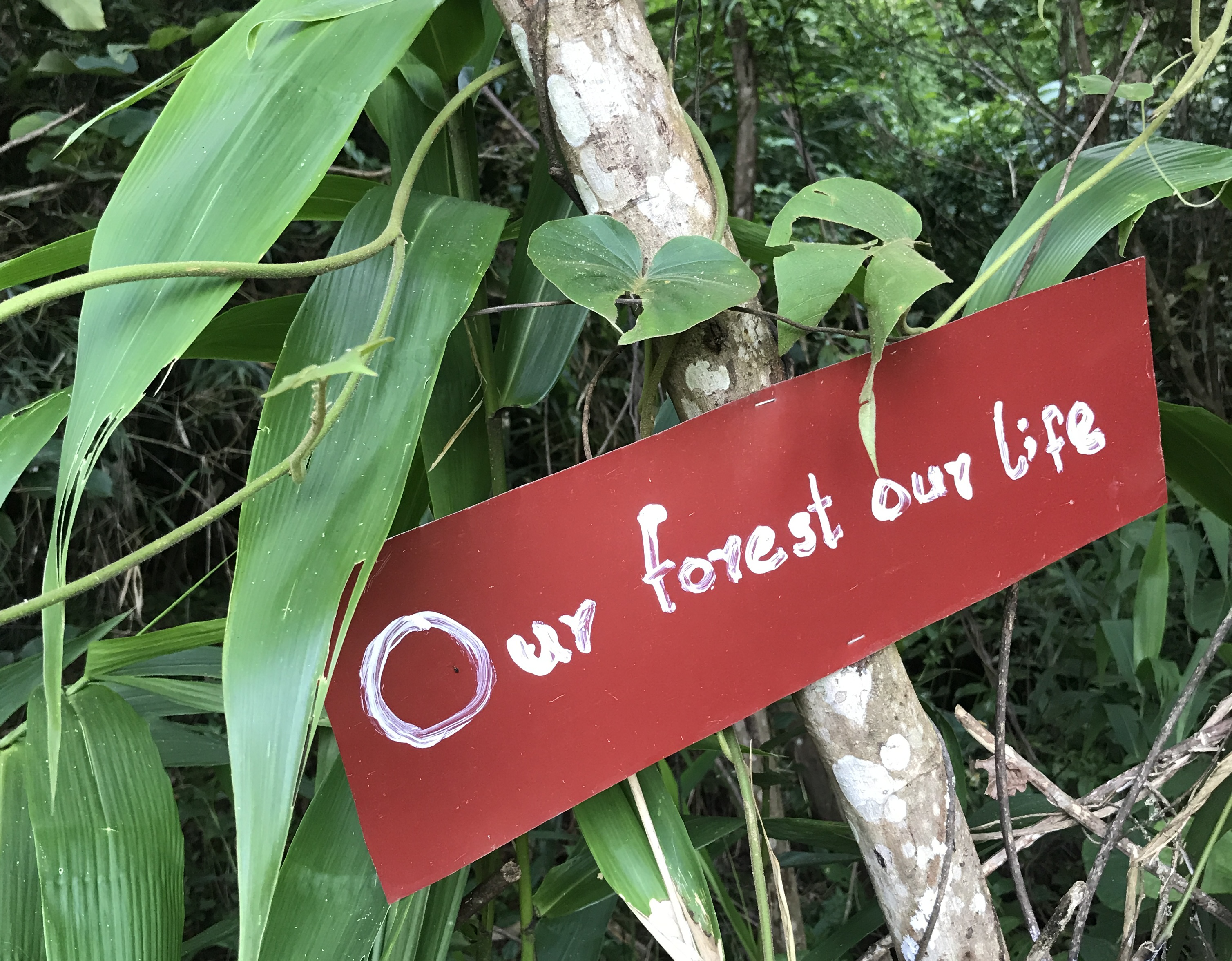 Ridge to Reef Conservation Project