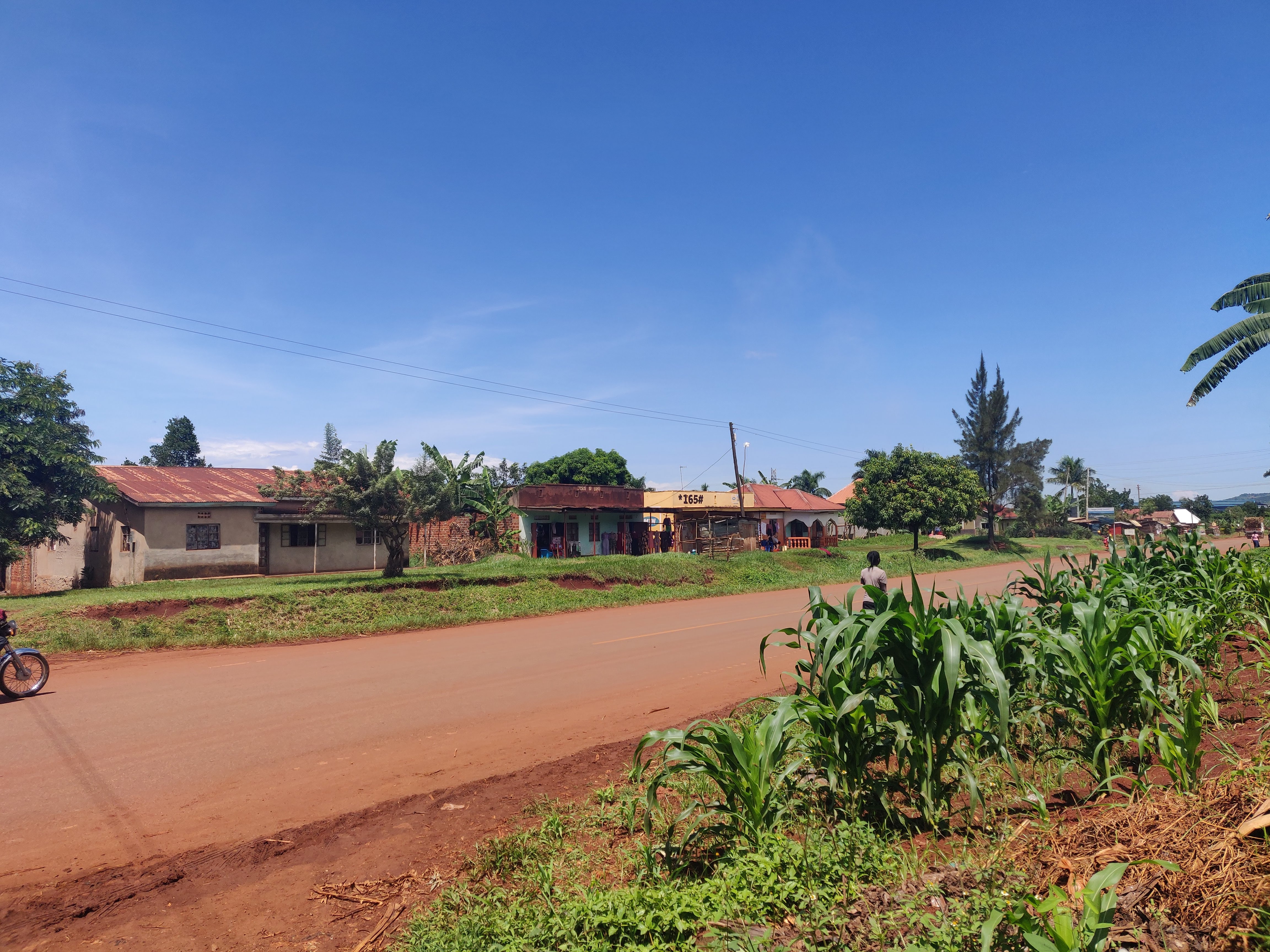Transport Sector Development Project